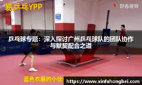 乒乓球专题：深入探讨广州乒乓球队的团队协作与默契配合之道