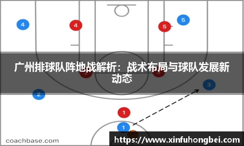 广州排球队阵地战解析：战术布局与球队发展新动态